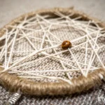 Small handwoven dreamcatcher with feather and bead details, tribal boho wall decoration, Ethno World