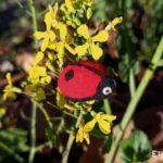 Needle felted ladybug brooch, handmade wool